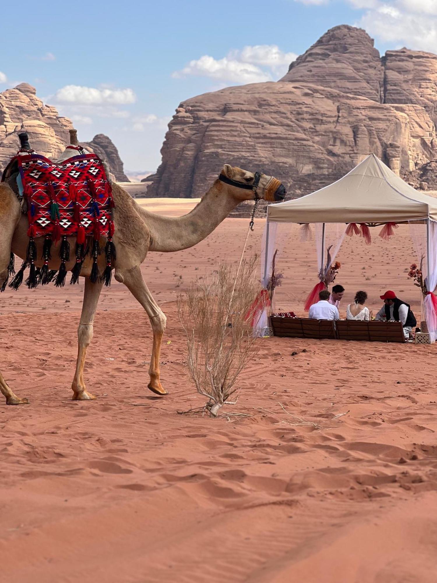 Moon Magic Valley Lejlighed Wadi Rum Eksteriør billede
