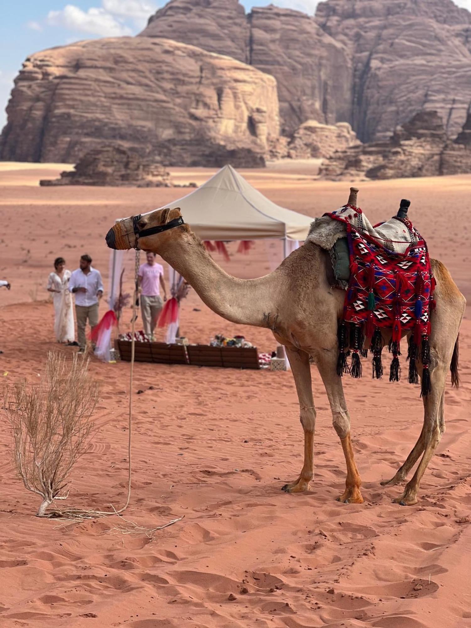 Moon Magic Valley Lejlighed Wadi Rum Eksteriør billede